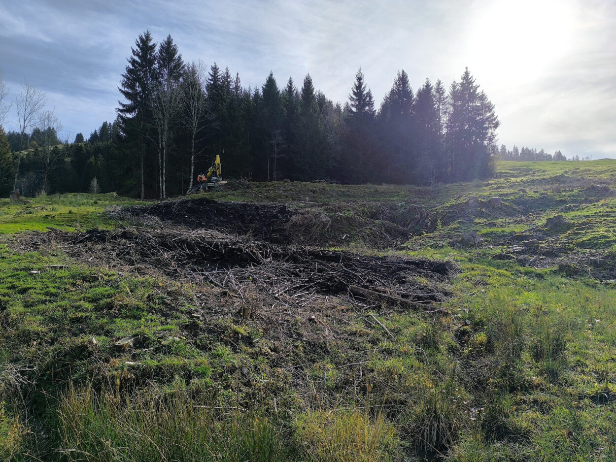 Schönbächler Baggerbetrieb AG | Baggerarbeiten | Rossgaden
