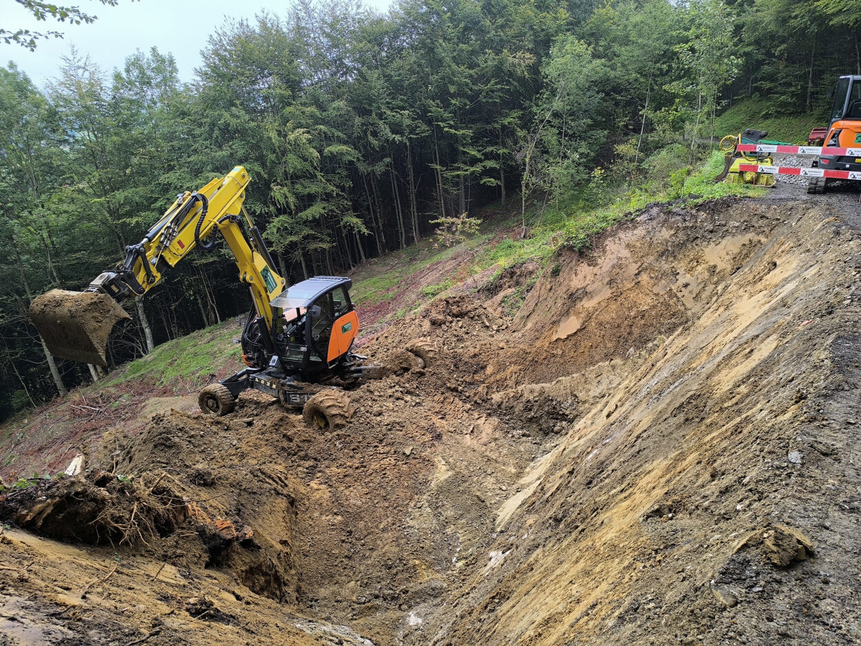 Schönbächler Baggerbetrieb AG | Hangsicherung | Holzkasten, Friherrenberg