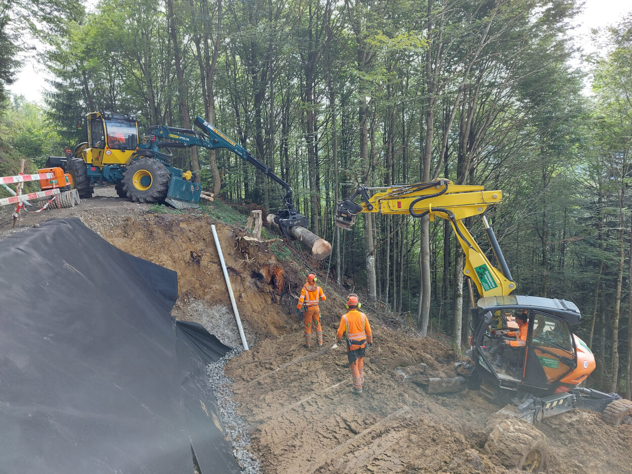 Schönbächler Baggerbetrieb AG | Hangsicherung | Holzkasten, Friherrenberg