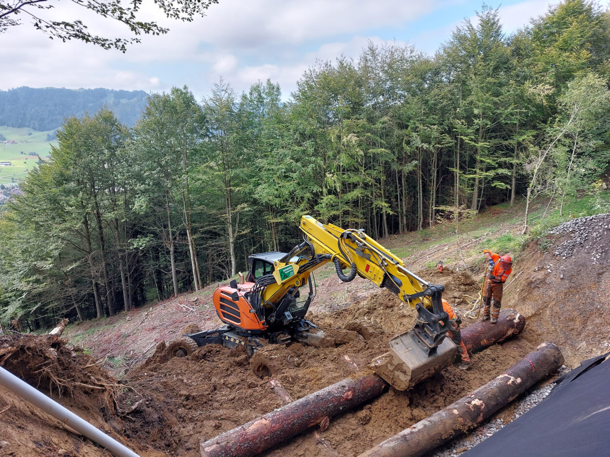 Schönbächler Baggerbetrieb AG | Hangsicherung | Holzkasten, Friherrenberg