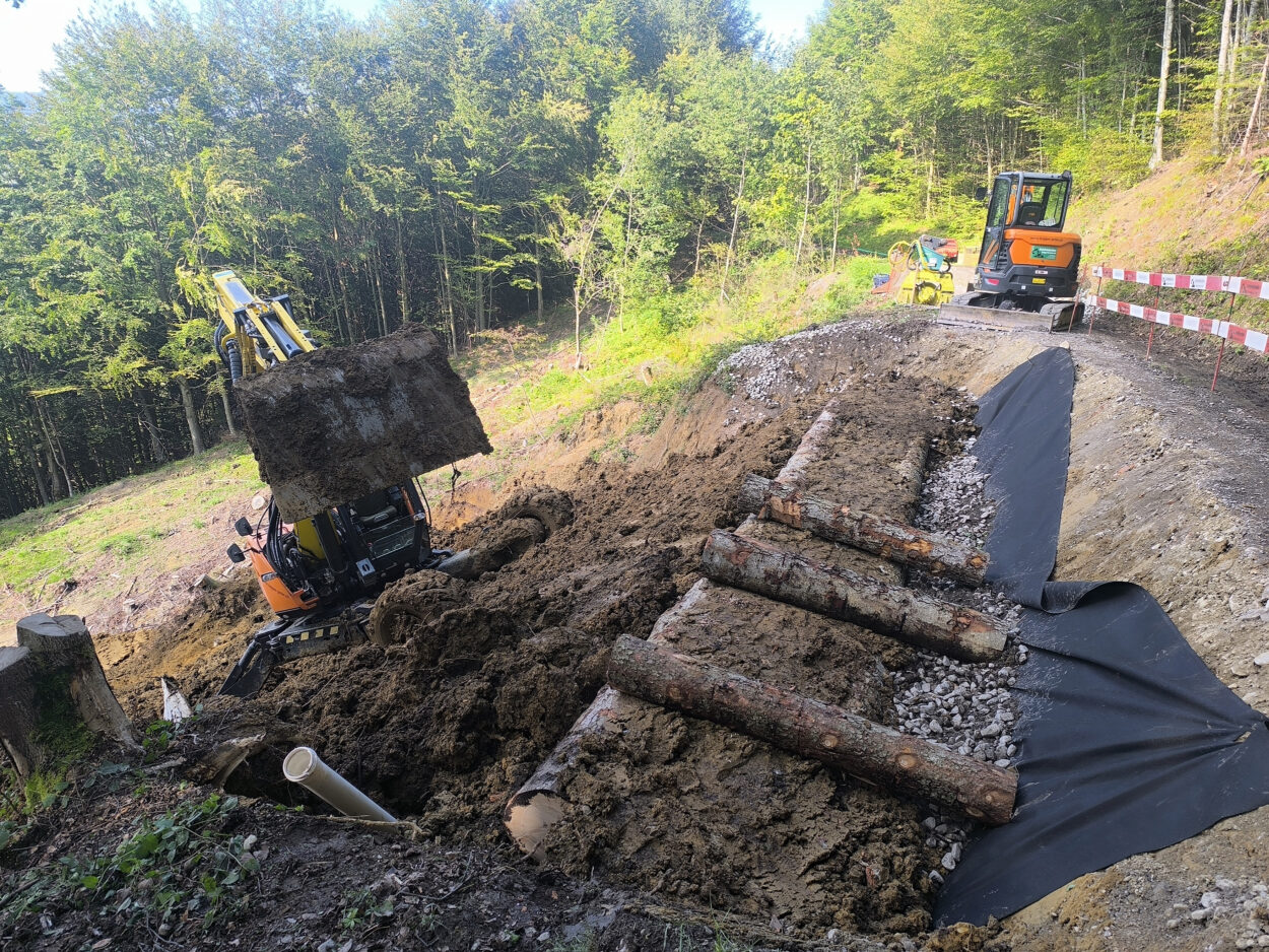 Schönbächler Baggerbetrieb AG | Hangsicherung | Holzkasten, Friherrenberg